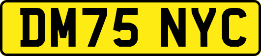 DM75NYC