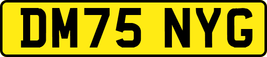 DM75NYG