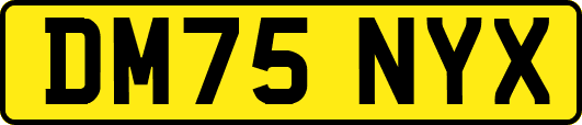 DM75NYX