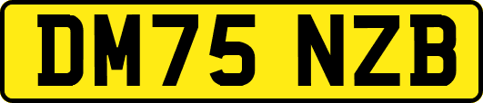 DM75NZB