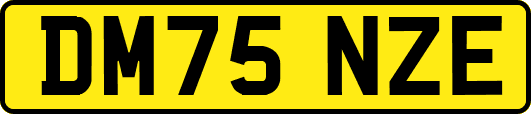 DM75NZE
