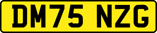 DM75NZG