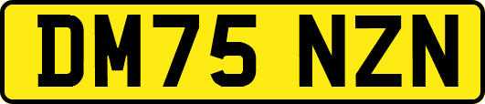 DM75NZN