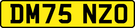 DM75NZO