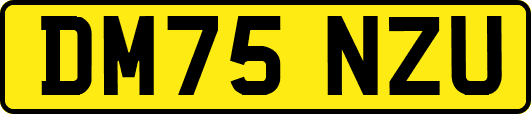 DM75NZU