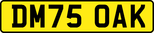 DM75OAK
