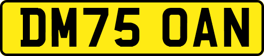 DM75OAN