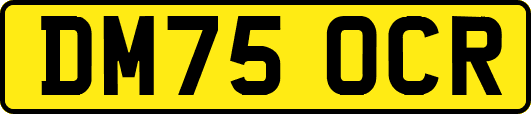 DM75OCR