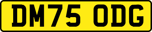 DM75ODG