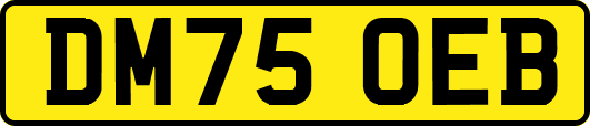 DM75OEB