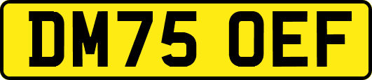 DM75OEF