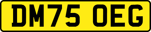 DM75OEG