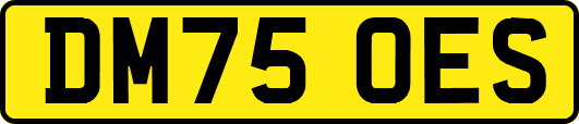 DM75OES