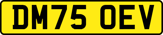 DM75OEV