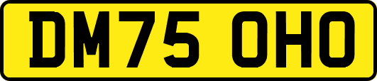 DM75OHO
