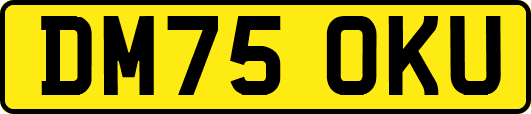 DM75OKU