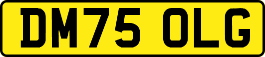 DM75OLG