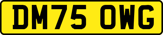 DM75OWG