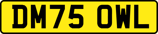 DM75OWL