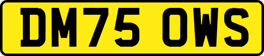DM75OWS