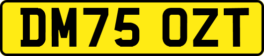 DM75OZT