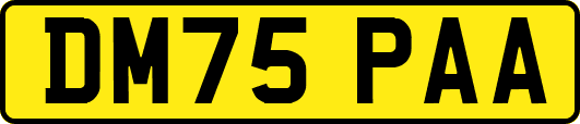 DM75PAA