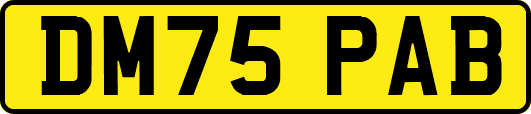 DM75PAB
