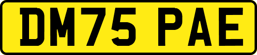 DM75PAE