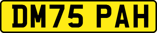 DM75PAH
