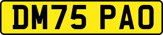 DM75PAO
