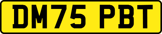 DM75PBT