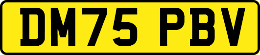 DM75PBV