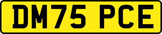 DM75PCE