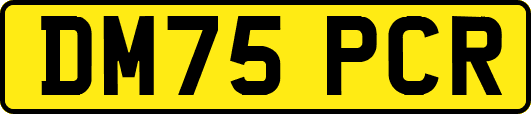 DM75PCR
