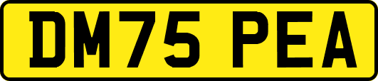 DM75PEA