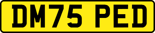 DM75PED