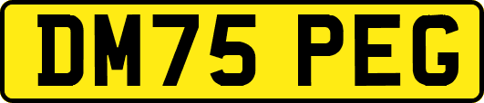 DM75PEG