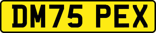 DM75PEX