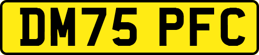 DM75PFC