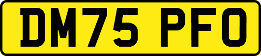 DM75PFO