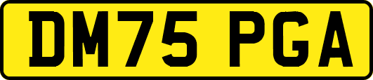 DM75PGA