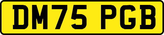 DM75PGB