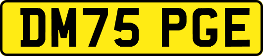DM75PGE