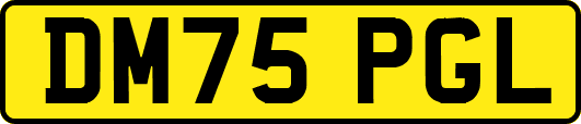 DM75PGL