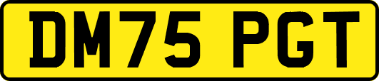 DM75PGT