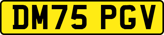DM75PGV