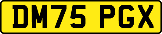 DM75PGX
