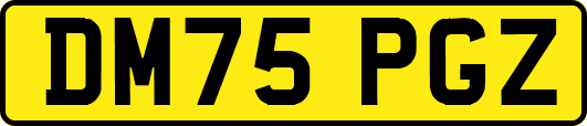 DM75PGZ