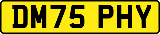 DM75PHY