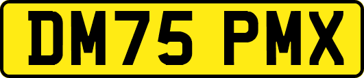DM75PMX